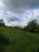 dnem527506013mod_small.jpg