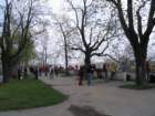 matrix_2008003_small.jpg