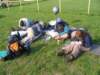 osud_20080051_small.jpg