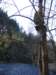 unorovylet_080026_small.jpg