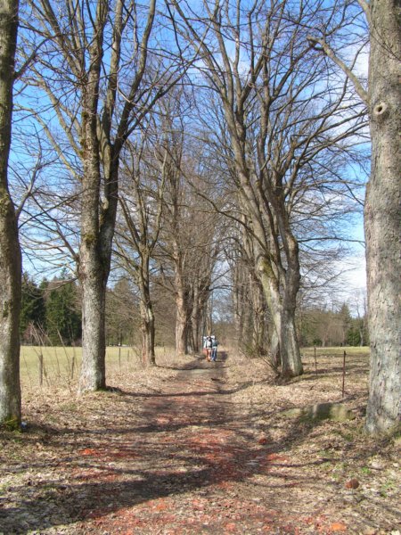 pict1547.jpg