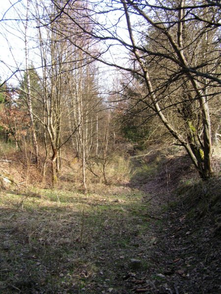 pict1563.jpg