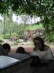 zanosem20008_small.jpg