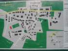 zanosem20010_small.jpg