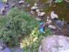 pict0042_small.jpg